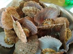 -宾朋海鲜特色美食餐厅·纯手工鲅鱼水饺(兴海路店)