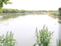 -上膳源有机农场