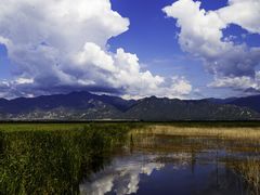 -野鸭湖国家湿地公园