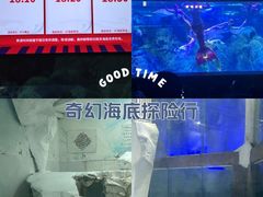 -南京海底世界