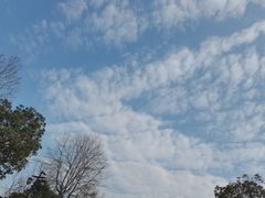 -黄陂区野村谷景区