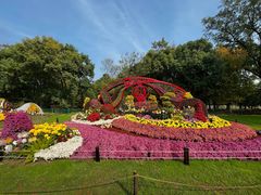 -上海共青森林公园