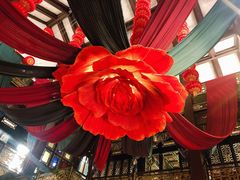 -奔跑吧乐园