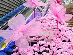 -万科生活广场(东莞松山湖店)