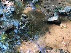-火炉山森林公园