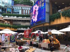 -金虹桥商场