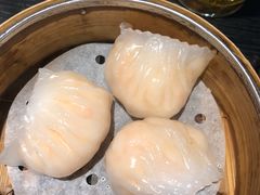 -糖朝(尖沙咀店)