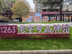 -华山263老字号品牌馆
