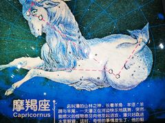 -大连自然博物馆·地球展厅