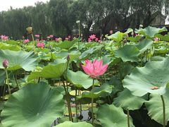 -安飞驰驾校·学车连锁(金高店)