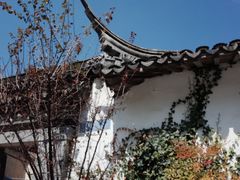 -三林本帮馆(中林街店)