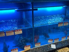 -协成海鲜火锅(海洋花园店)