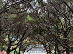 -南岳大庙