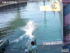 -秦皇岛乐岛海洋王国