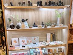 -晓风书屋(大学路店)