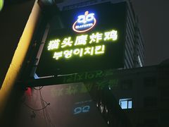 -猫头鹰炸鸡