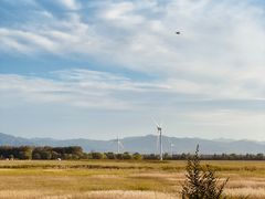-野鸭湖国家湿地公园