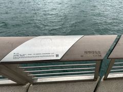 -星光大道