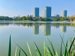 -美兰湖景区