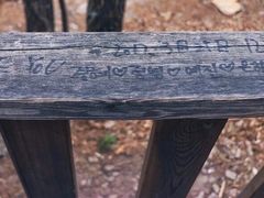 -帽儿山国家森林公园