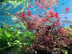 -太平洋海底世界