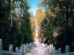 -东湖磨山景区