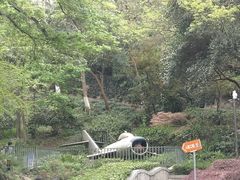 -伯先公园