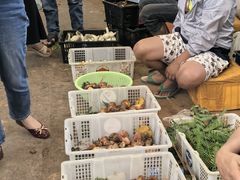 -菌粹源野生菌(木水花市场店)