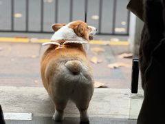 -Onirii Coffee(长乐路店)