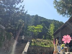 -四门塔风景区