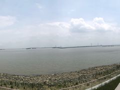 -大湾区中央湿地公园-十九涌