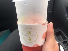 -树夏(建设路店)
