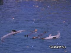 -秦皇岛乐岛海洋王国