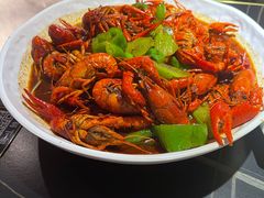 -京悦南门涮羊肉·羊蝎子火锅(田林路店)