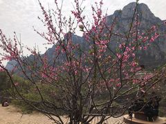 -云台山风景名胜区