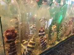 -Isla Sugbu Seafood City