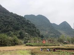-靖西鹅泉风景区