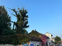 -吴越荣记·苏州菜·松鼠桂鱼(娄门景区店)
