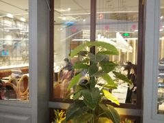 -吉布鲁牛排海鲜自助(硕果时代店)