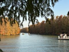 -上海海湾国家森林公园