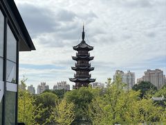 -龙华素斋(龙华路店)