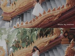 -西双版纳总佛寺