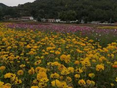 -玉华宫景区