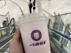 -一只酸奶牛(汕头金平万达广场店)