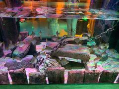 -沈阳海洋探索中心