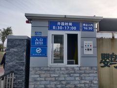 -鹦鹉洲湿地公园