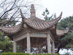 -团结湖公园