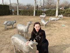 -九十九顶毡房(阜石路店)