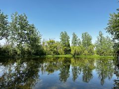 -溱湖国家湿地公园