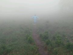 -凤凰山国家森林公园